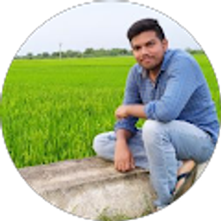 Profile photo of Satya Reddy Ayuluri