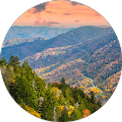 Profile photo of Joe