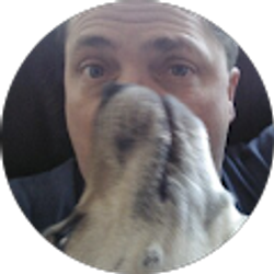 Profile photo of Tom Higdon