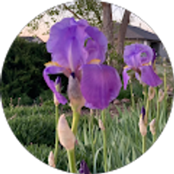 Profile photo of Marti Marshall