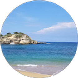 Profile photo of N J