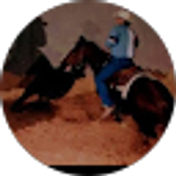 Profile photo of Tim