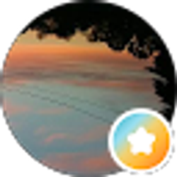 Profile photo of Renae