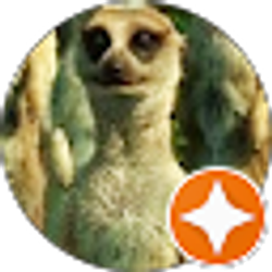 Profile photo of Nikolay Nikiforov