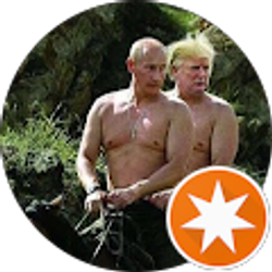 Profile photo of Vlade Past