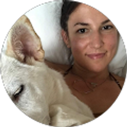 Profile photo of Allison van Hee