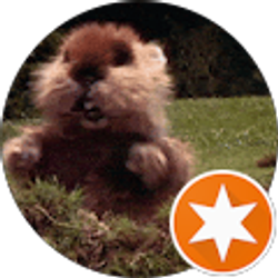 Profile photo of Ryan Olson