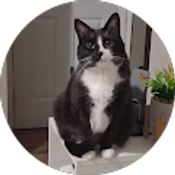 Profile photo of Millie Thompson