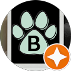 Profile photo of B B