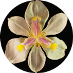 Profile photo of Jeff Qian