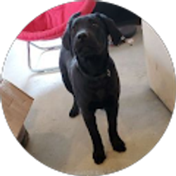 Profile photo of Jini King