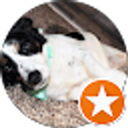 Profile photo of jeff kennedy