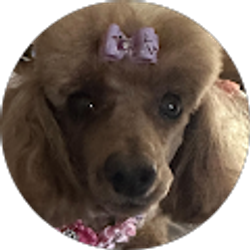 Profile photo of Joan Hess