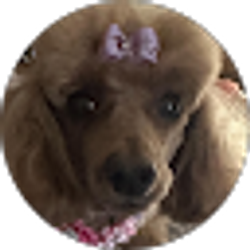 Profile photo of Joan Hess