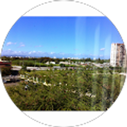 Profile photo of Tamere Green