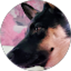 Profile photo of MILOtheServiceDawg