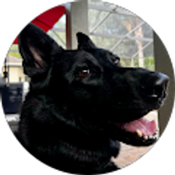 Profile photo of Samir Malhotra