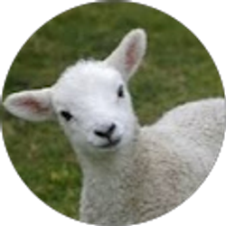 Profile photo of Dylan Lamb