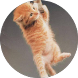 Profile photo of Todd Floyd