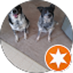 Profile photo of Cathy Johnson