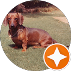 Profile photo of Ross Nishida