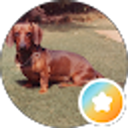 Profile photo of Ross Nishida