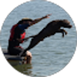 Profile photo of Bryan Aumiller