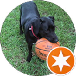 Profile photo of Travis Hott