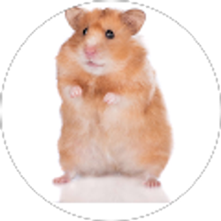 Profile photo of Chris Napoleon