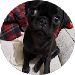 Profile photo of Roberto Marcos Ceniceros