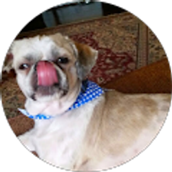 Profile photo of Shanda Thurlo