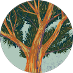 Profile photo of Marc Joseph