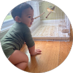 Profile photo of Rafaela Cordeiro