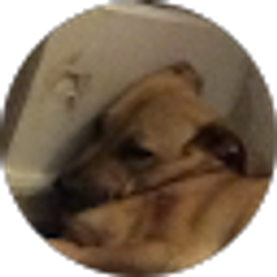 Profile photo of JONATHAN LOPEZ
