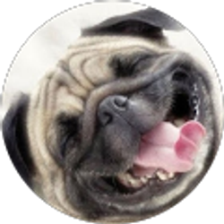 Profile photo of Carlos Calderon