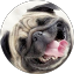 Profile photo of Carlos Calderon