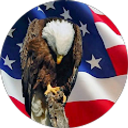 Profile photo of Mike Schult