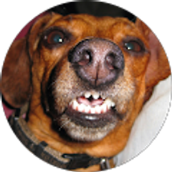 Profile photo of Anthony Doling