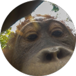 Profile photo of James