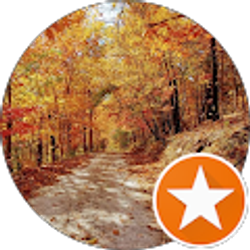 Profile photo of Lorrie Wood