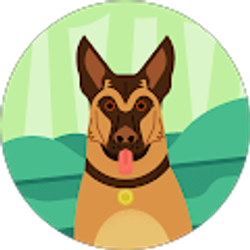 Profile photo of Taylor Bobo