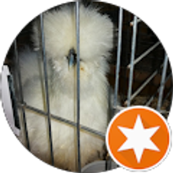 Profile photo of Kel Harp