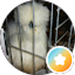 Profile photo of Kel Harp