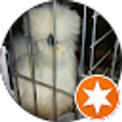 Profile photo of Kel Harp