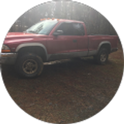 Profile photo of American Redneck