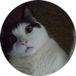 Profile photo of Vy Truong