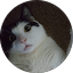 Profile photo of Vy Truong