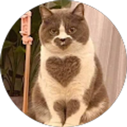 Profile photo of Sana Ramirez