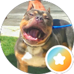Profile photo of Wesley Addington
