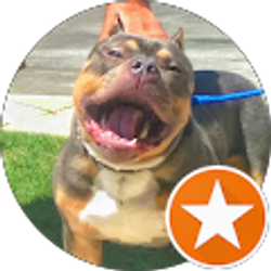 Profile photo of Wesley Addington